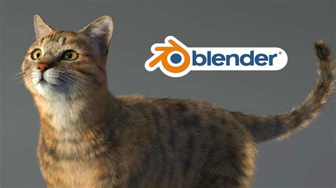 <b>Cat</b> <b>Video</b>. . Where can i find the cat in blender video